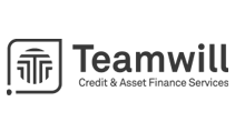0.7_logo-teamwill-gray